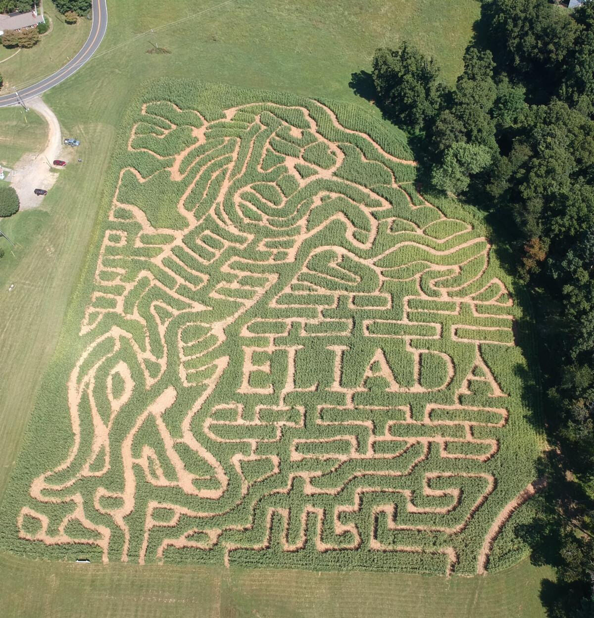 Eliada Maze 2020